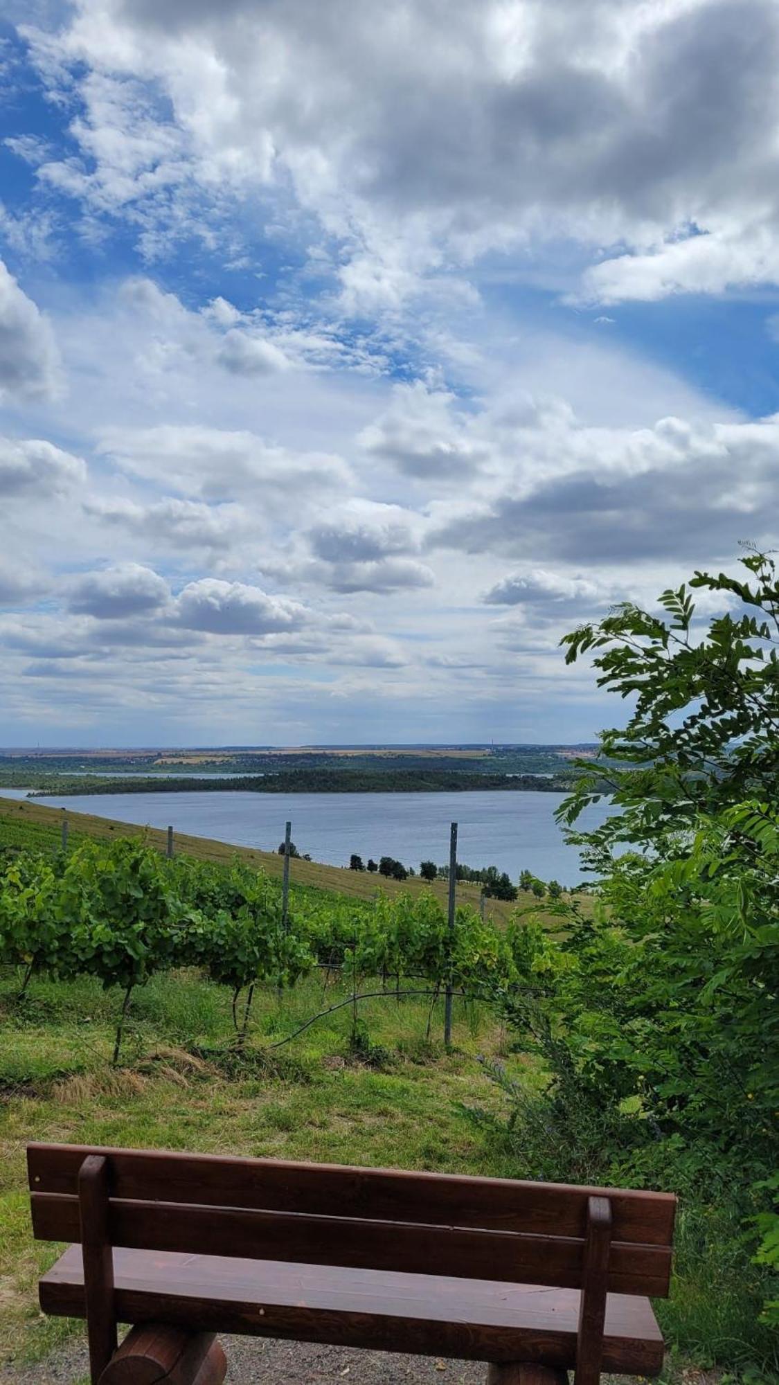 Ferienhaus Seezeit Direkt Am Geiseltalsee Mit Sauna Βίλα Mucheln Εξωτερικό φωτογραφία